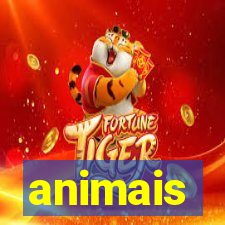 animais-pg.com