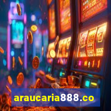 araucaria888.com