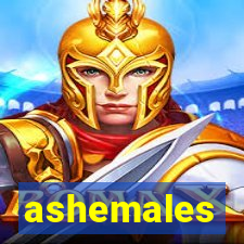 ashemales