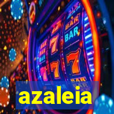 azaleia-br.com