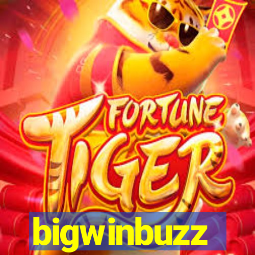 bigwinbuzz