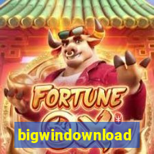 bigwindownload