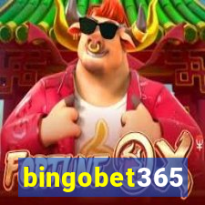 bingobet365