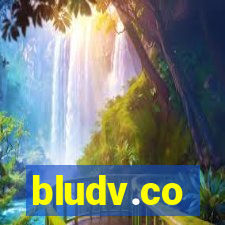 bludv.co