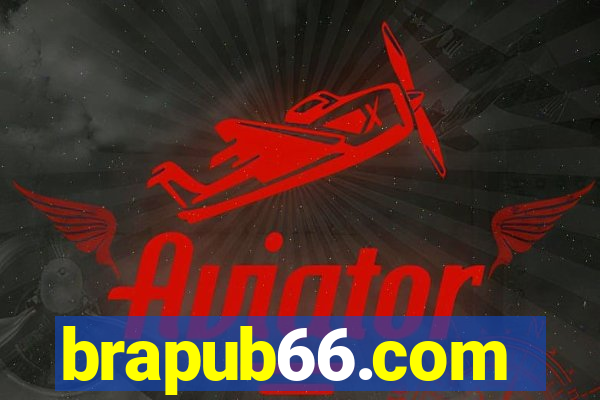 brapub66.com