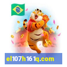 el107h161q.com