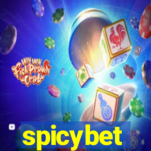 spicybet-2.com