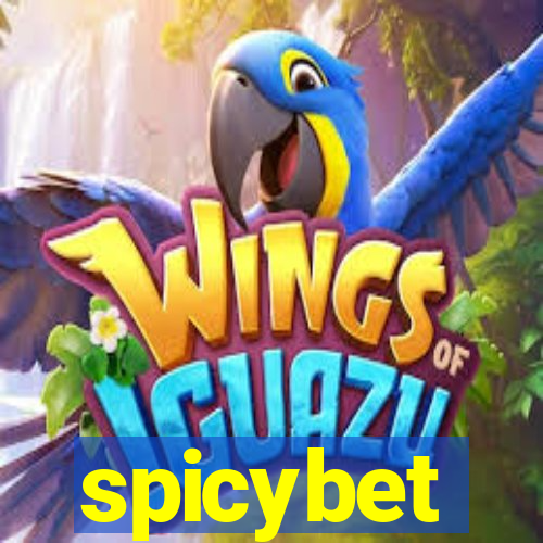 spicybet-3.com