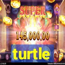 turtle-ty.com