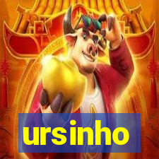 ursinho-pg.com